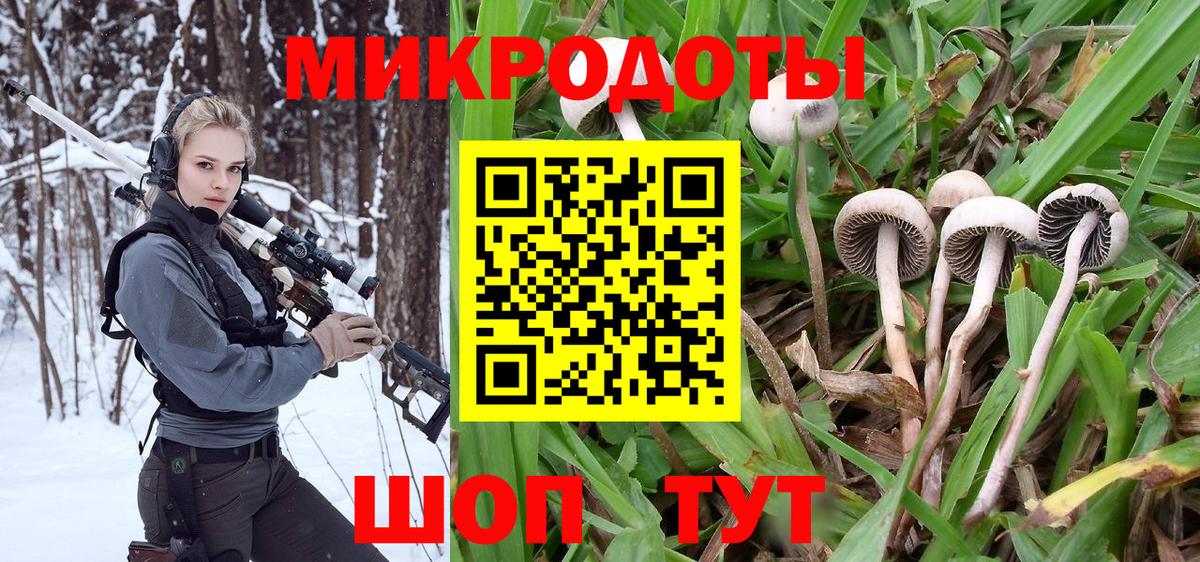 Псилоцибиновые грибы GOLDEN TEACHER  Псилоцибиновые грибы Psilocybine cubensis  Вход с VPN  Сосновоборск 